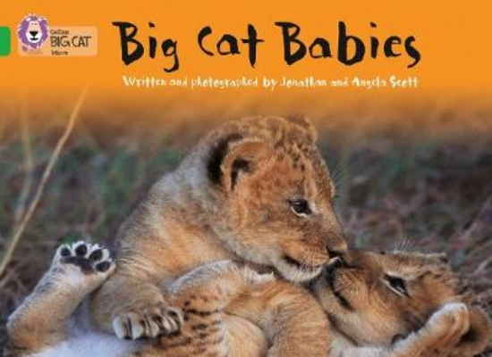 Picture of Big Cat Babies