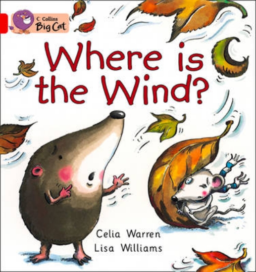 Picture of Where is the Wind? Workbook