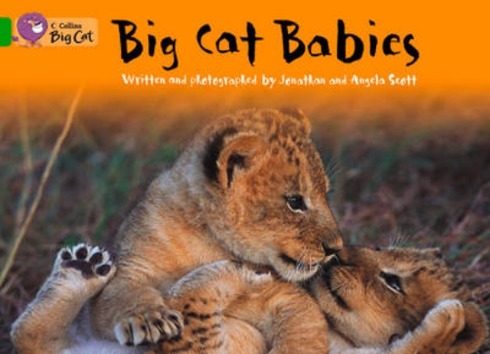 Picture of Big Cat Babies