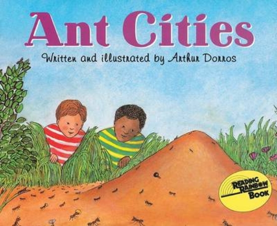 Picture of Ant Cities