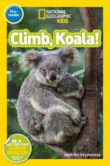 Picture of Climb Koala