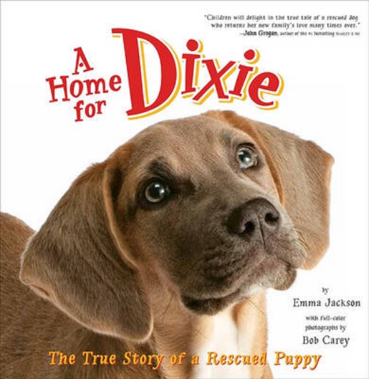 Picture of A Home For Dixie