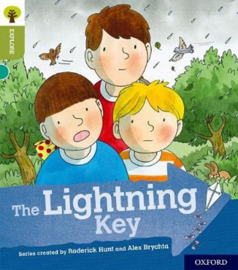 Picture of The Lightning Key
