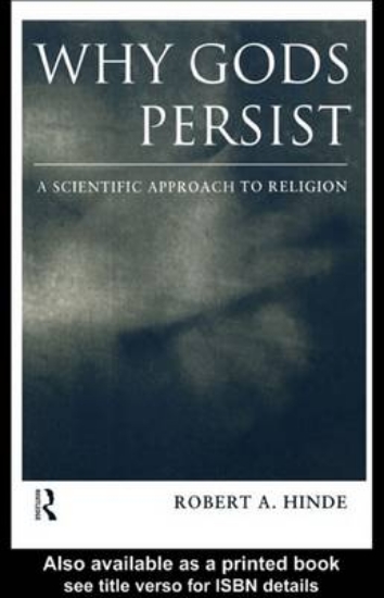 Picture of Why Gods Persist