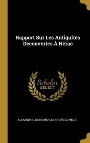 Picture of Rapport Sur Les Antiquites Decouvertes A Nerac