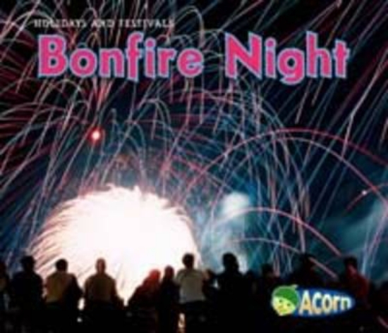 Picture of Bonfire Night