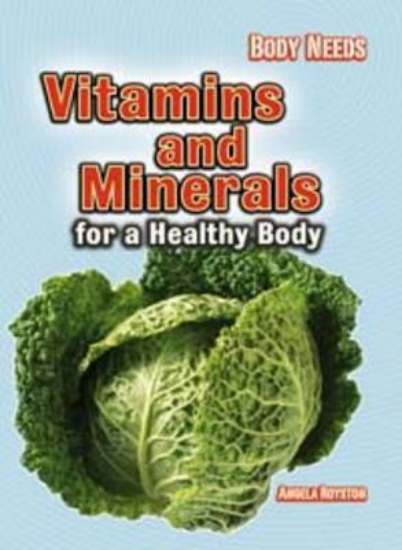 Picture of Vitamins and Minerals for a Healthy Body