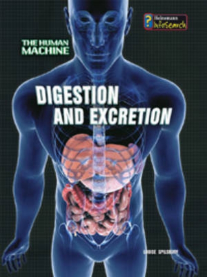 Picture of Digestion and Excretion