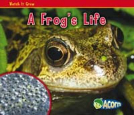 Picture of A Frog's Life