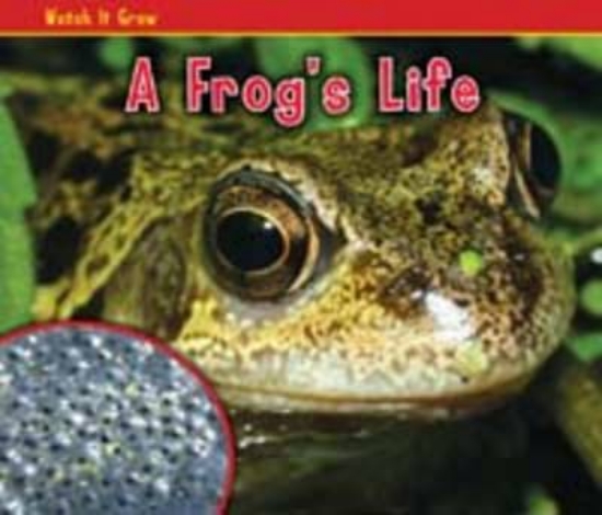 Picture of A Frog's Life