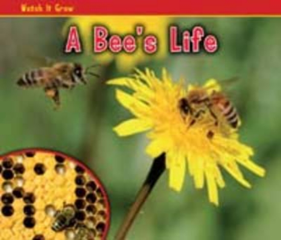 Picture of A Bee's Life