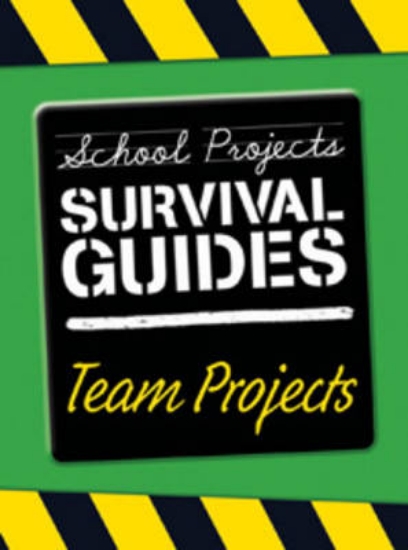 Picture of Team Projects