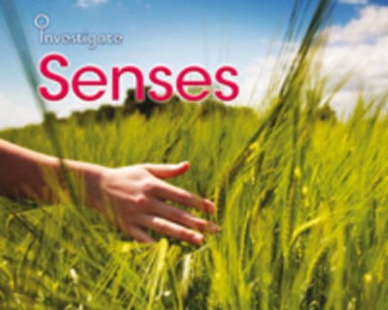 Picture of Senses