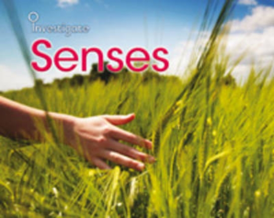 Picture of Senses