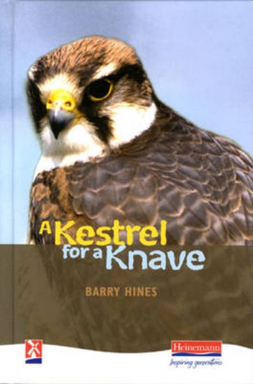 Picture of A Kestrel for a Knave