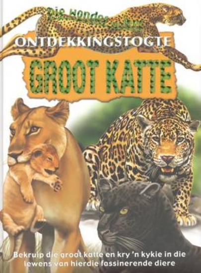 Picture of Groot katte