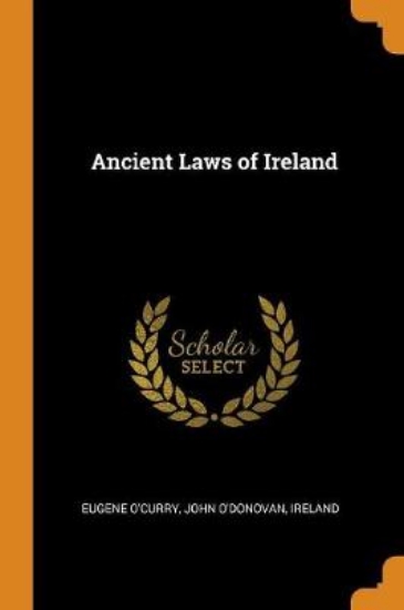 Picture of Ancient Laws of Ireland