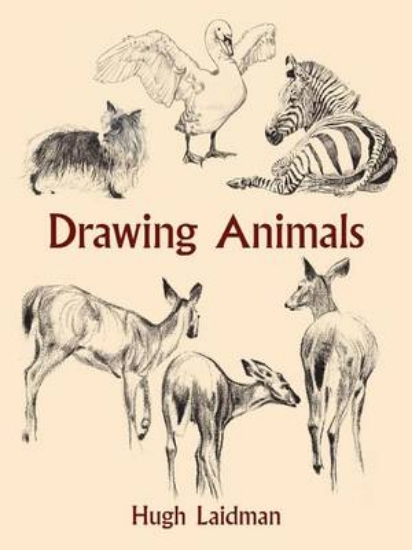 Picture of Drawing Animals
