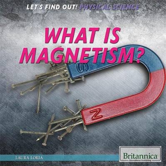 Picture of What Is Magnetism?