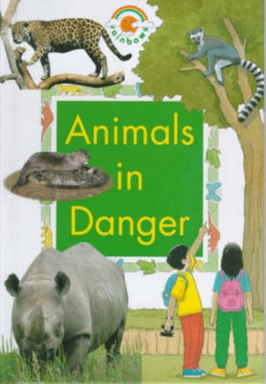 Picture of Animals in Danger