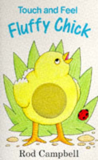 Picture of Touch and Feel