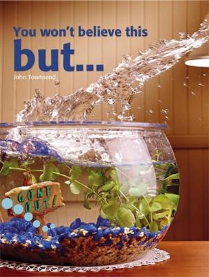 Picture of You Won't Believe This But....: Pupil Book Level 2