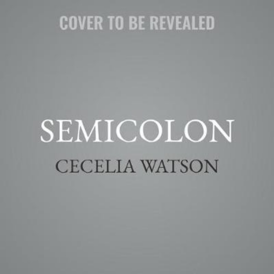 Picture of Semicolon