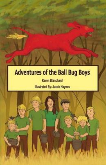 Picture of Adventures of the Ball Bug Boys