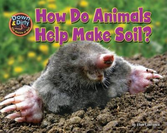 Picture of How Do Animals Help Make Soil?