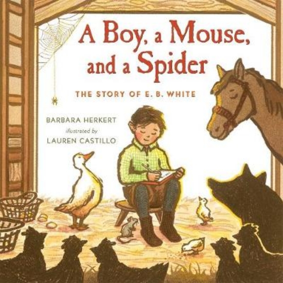 Picture of A Boy, a Mouse, and a Spider