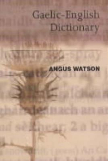 Picture of The Essential Gaelic-English Dictionary