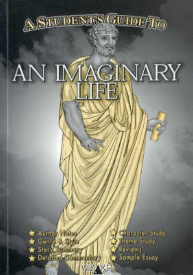 Picture of Wizard Study Guide An Imaginary Life