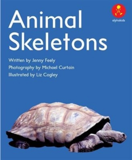 Picture of Ak L8: Animals Skeletons