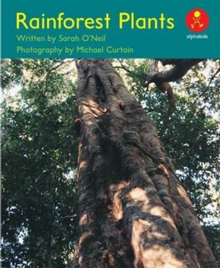 Picture of Ak L10: Rainforests Plants