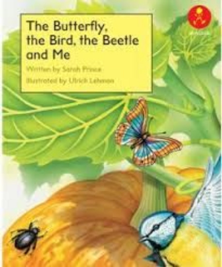 Picture of Ak L15: Butterfly Bird