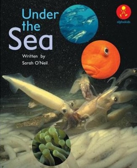 Picture of Ak L19: Under The Sea