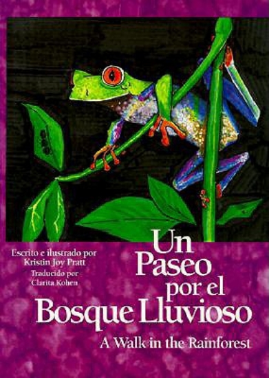 Picture of Un Paseo Por El Bosque Lluvioso/a Walk in the Rain