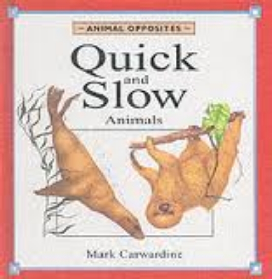 Picture of Quick and Slow Animals