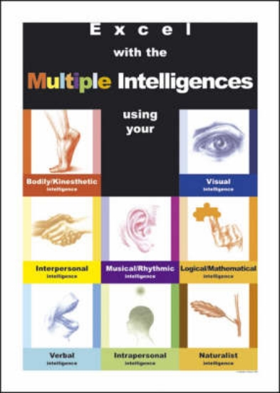 Picture of Excel with the Multiple Intelligences (Poster set)