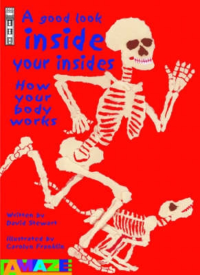 Picture of A Good Look Inside Your Insides