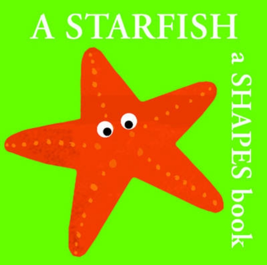 Picture of A Starfish
