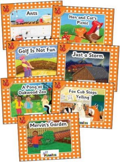Picture of Jolly Phonics Orange Level Readers Complete Set