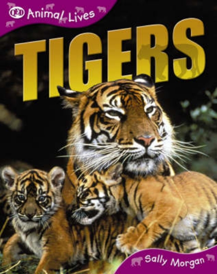 Picture of Tigers