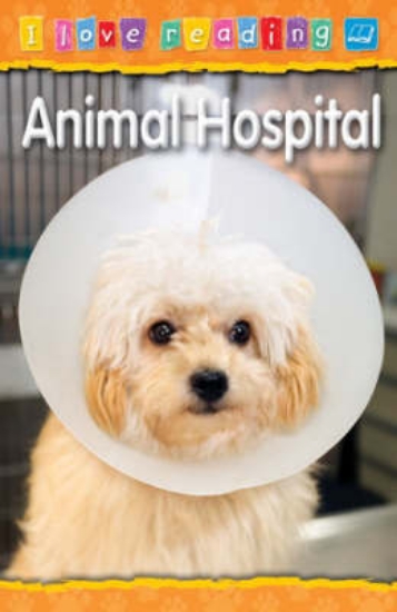 Picture of Animal Hospital