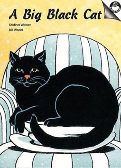 Picture of A Big Black Cat