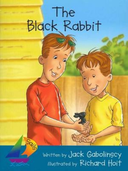 Picture of Sails Additional Fluency - Turquoise