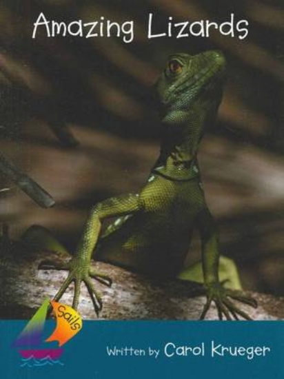 Picture of Sails Additional Fluency - Turquoise