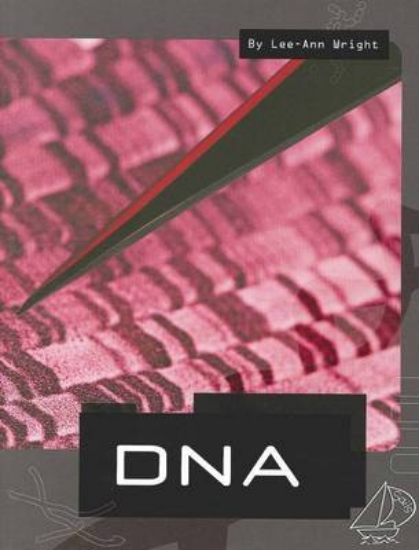 Picture of MainSails Level 5