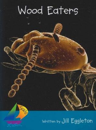 Picture of Sails Additional Fluency - Turquoise