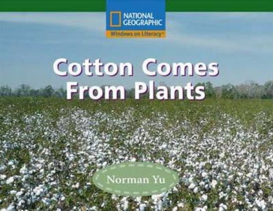 Picture of Cotton Comes from Plants